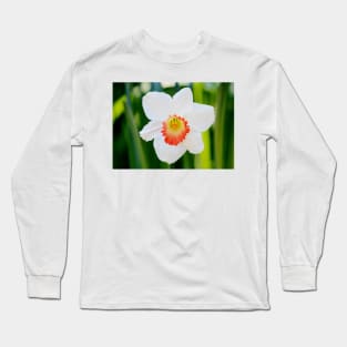 White Daffodil Long Sleeve T-Shirt